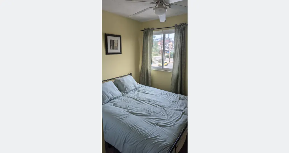 Cozy, charming Pittsburgh condo private bedroom in S Oakland. - Picture 1