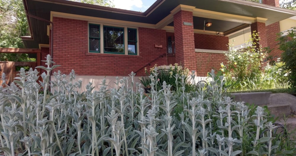 Michael's listing on misterb&b - ********Bungalow