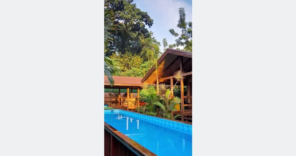 Ecolodge A/C avec piscine dans un jardin tropical - Photo 1