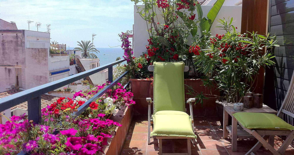 Superb duplex 3 terraces downtown 50m from the sea - Picture 1