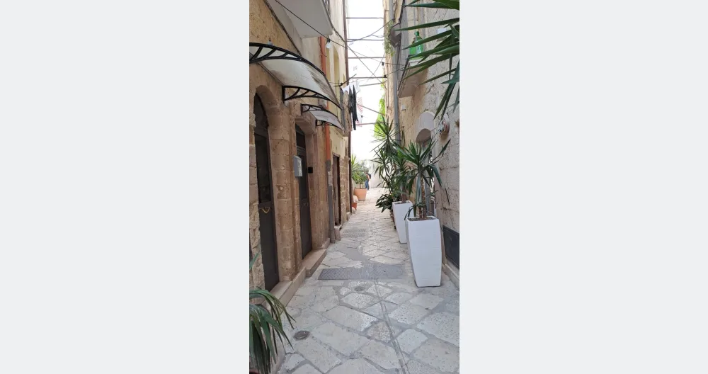A court on the rooftops of Bari - Picture 1