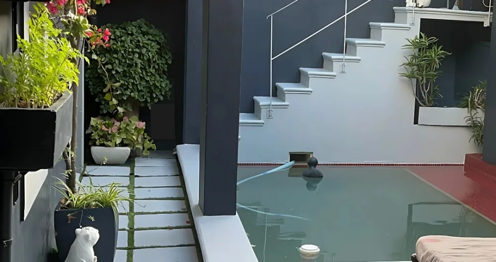 MAISON FABULEUSE - EMPLACEMENT PARFAIT - Photo 1
