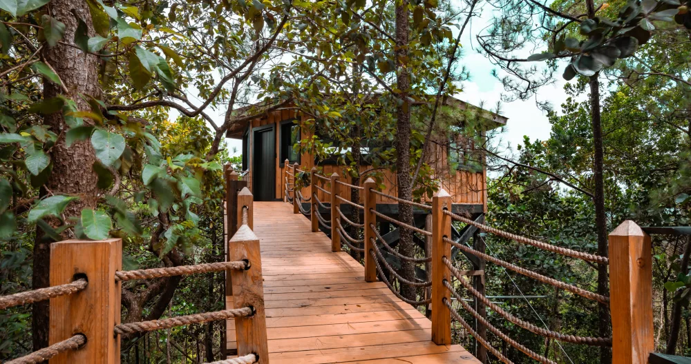 Tree House, Beautiful space in Jarabacoa, DR. - Picture 3