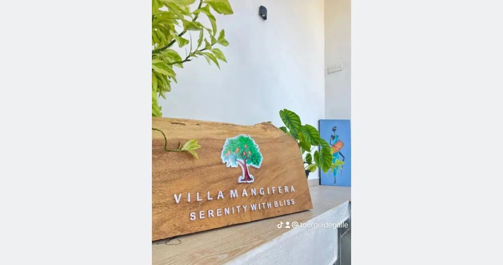 Bnb nice rooftop /premium /come as you are & like at home - Photo 2