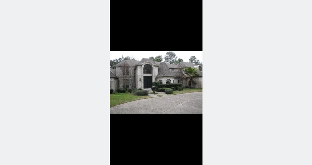 Mini Mansion in Houston  - Picture 1