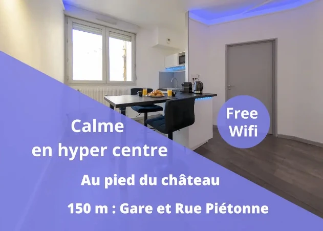 Cocooning Room - Centre - gare - Photo 1