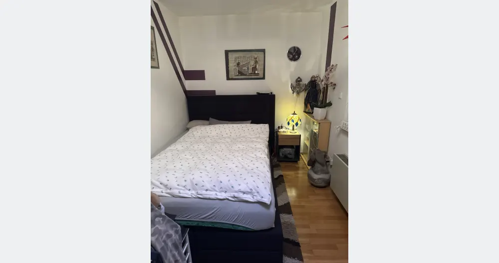 Rent a nice room in my apartment - Picture 2