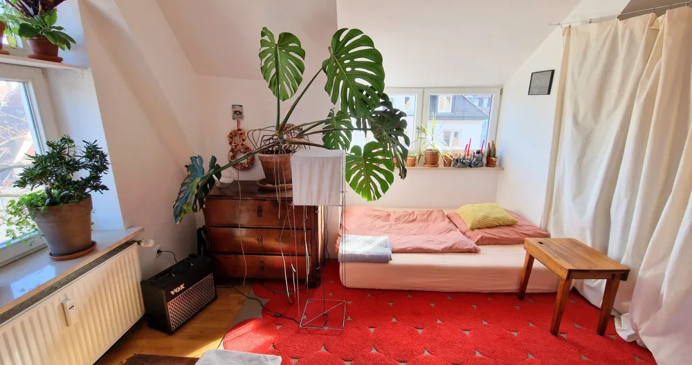 habitación luminosa y acogedora en piso compartido céntrico con mucha intimidad - Foto 1