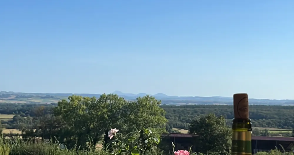 New house in the countryside, calm and nature. - Picture 3