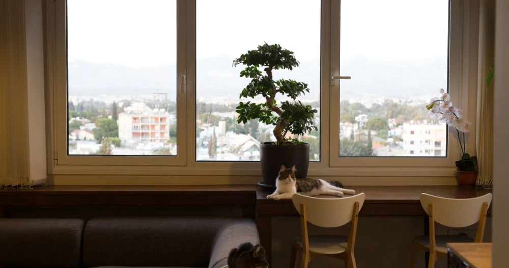   Penthouse with a View, Nicosia Centre   - Picture 1