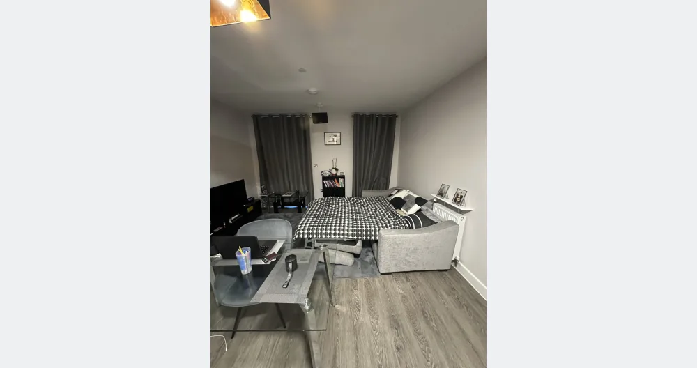 Cosy apartment Ealing, London  - Picture 2
