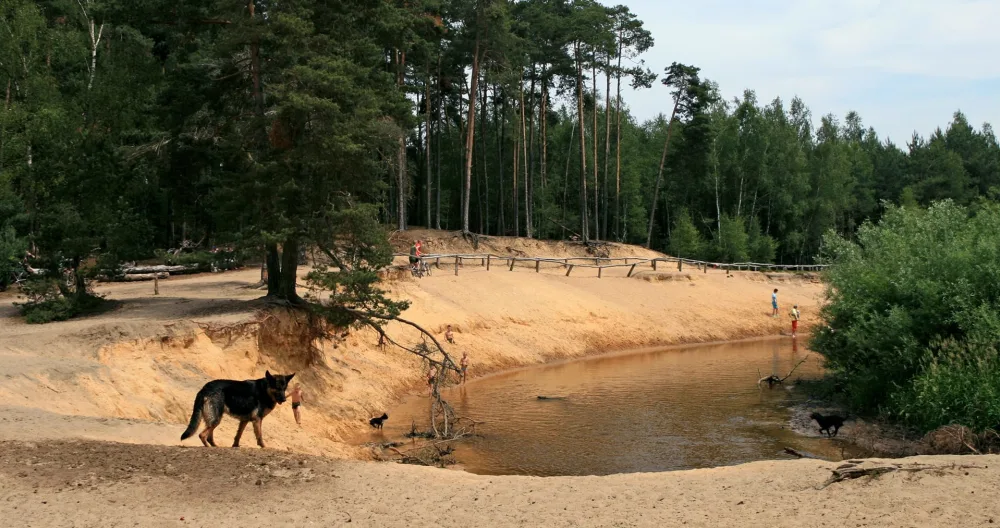 Accogliente camera da letto vicino alla riserva naturale di "Lutterzand". - Foto 1