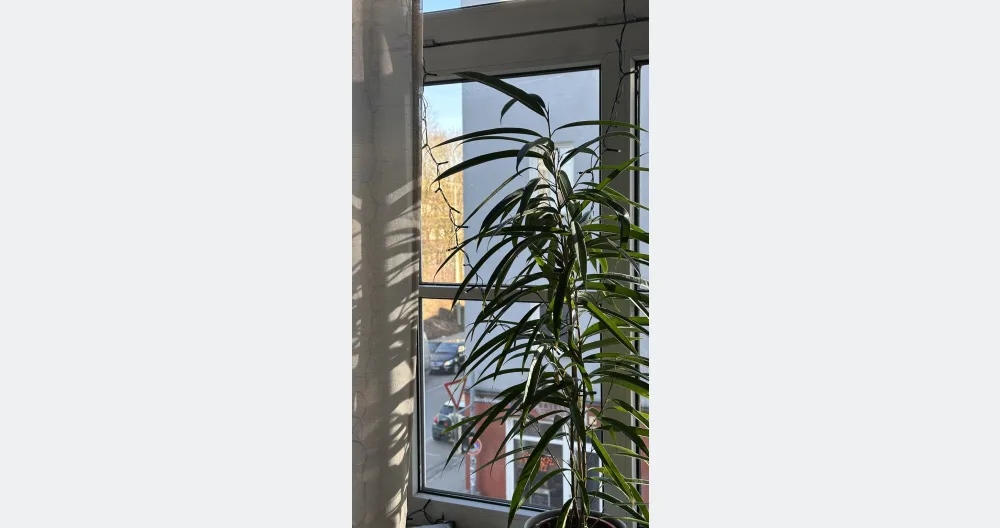 Annonce de Can sur misterb&b - The view from the living room