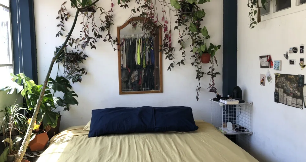Loft con 1 camera da letto, che condivide uno studio di yoga centrico e nudista - Foto 2