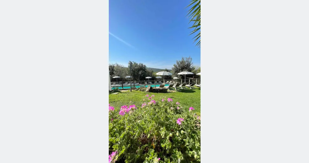Agriturismo In Toscana appartamenti e tende glamping. Natura e relax - Foto 2