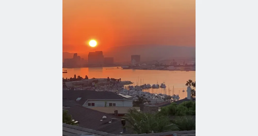 L'annuncio di Dino su misterb&b - The amazing view overlooking San Diego Downtown and the San Diego Bay from our garden.