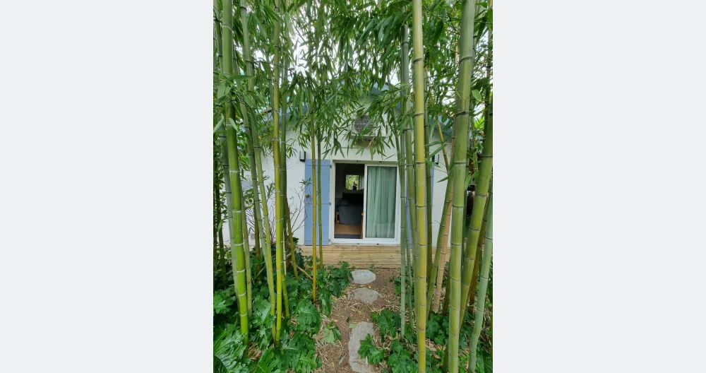 L'annuncio di François su misterb&b - A Toulouse, une chartreuse est une maisonnette en fond de jardin.