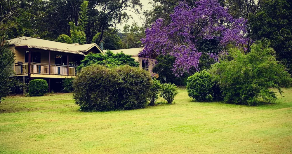Farm Stay in the Gold Coast Hinterland  - Picture 1