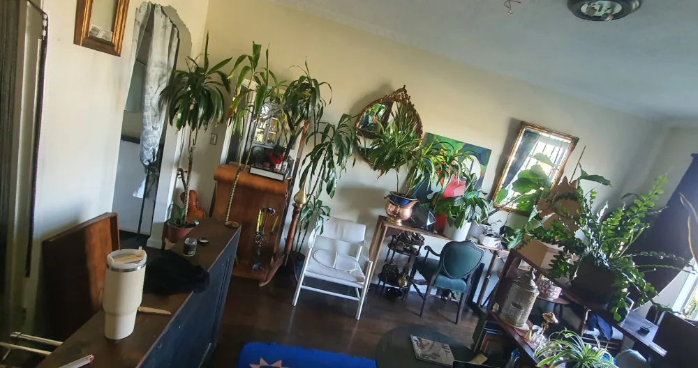 votre propre espace avec le signe d'Hollywood et des vues à perte de vue - Photo 2