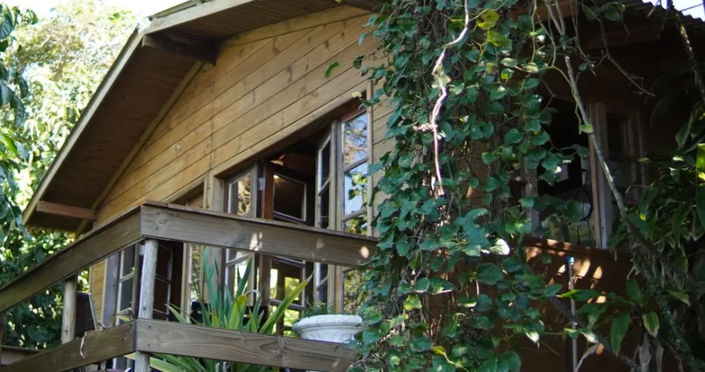 Solitude Cabin - Marujo - Picture 4