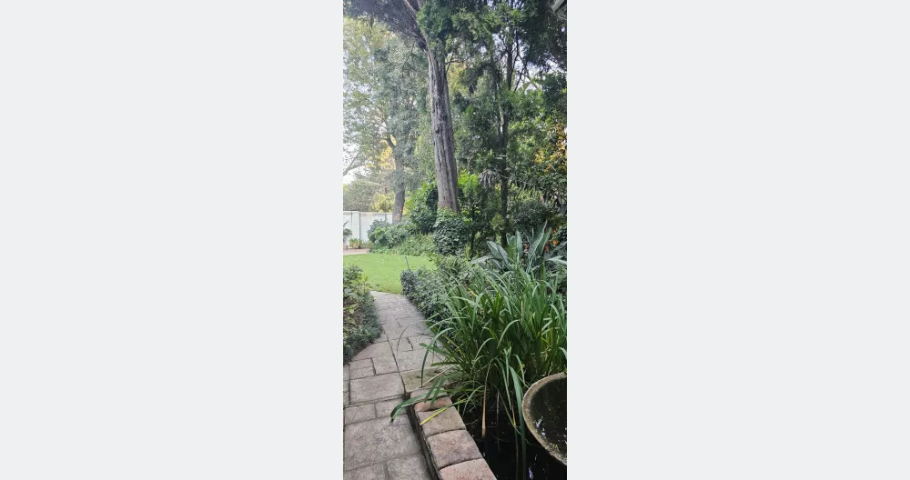 The Elysium, a beautiful, spacious apartment in a tree-lined Saxonwold - Picture 2