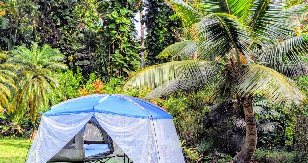 Kehena Beach Gay/LGBTQIA+ Clothing Optional Campsite - Photo 1