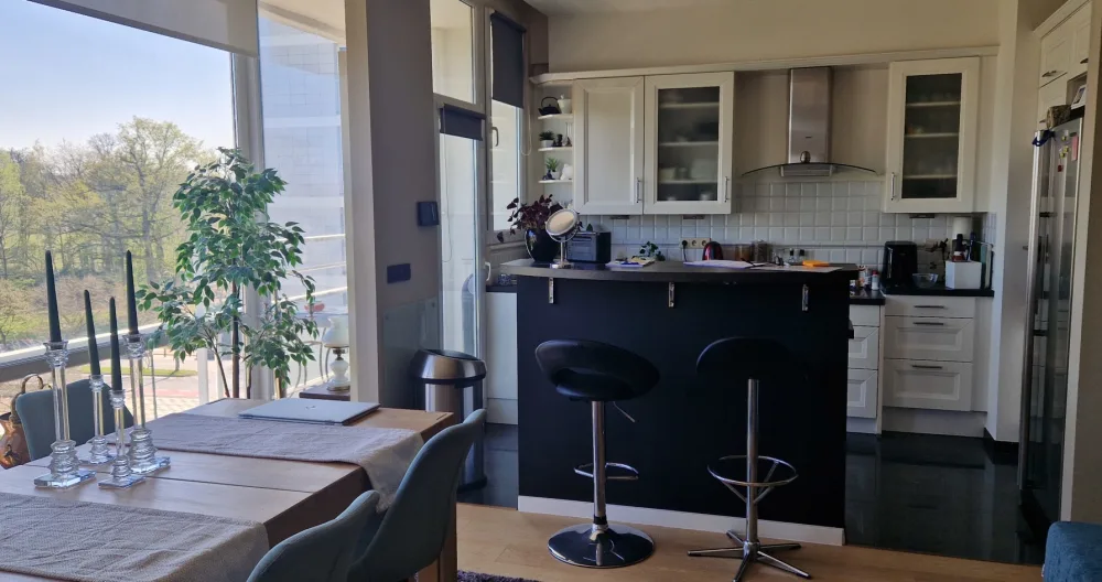 Beautiful apartment on the leafy outskirts of Brussels - Picture 4