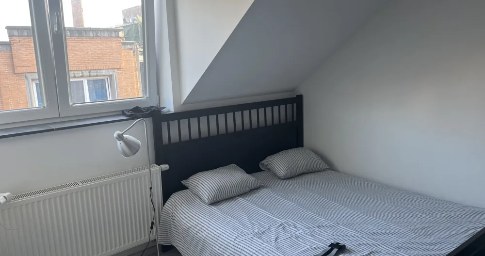 Nice room in a nice apartment in the city center of Brussels! - Picture 2