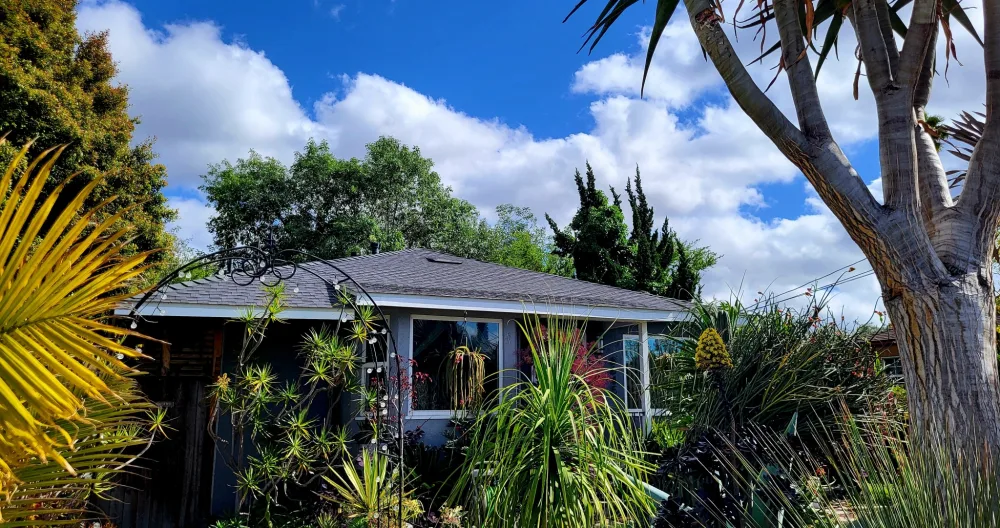 Anuncio de J en misterb&b - Street view of desert-scape, water conserving, front garden of succulents, agave and cacti. warning: this area is filled with pricks– large and small.