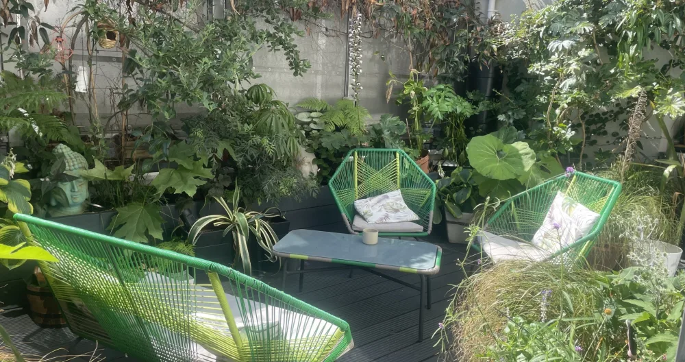 Grant's listing on misterb&b - Small peaceful roof garden