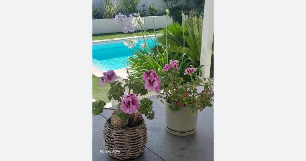  ein FKK-Zimmer in der Nähe von Narbonne und den Stränden mieten - Foto 41