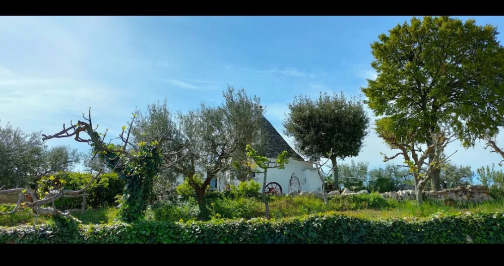 Antico trullo immerso nella campagna  - Foto 2