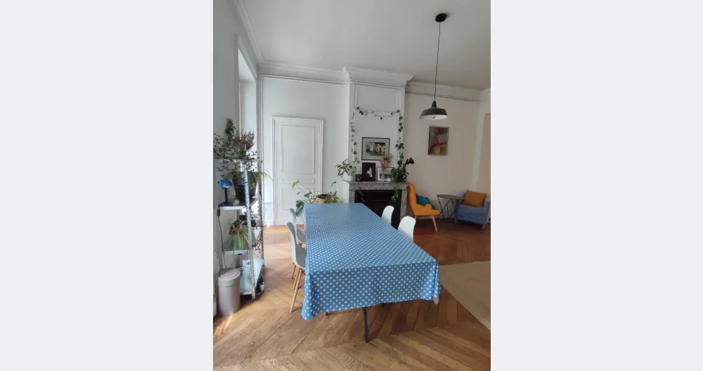 Large 100m2 apartment in the heart of Lyon, 4 to 6 people - Picture 1