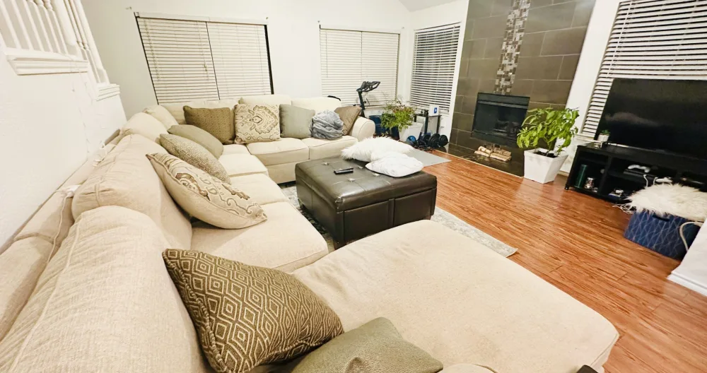 Beautiful Modern Zen home in the DFW
Cool living space and garden! - Picture 1