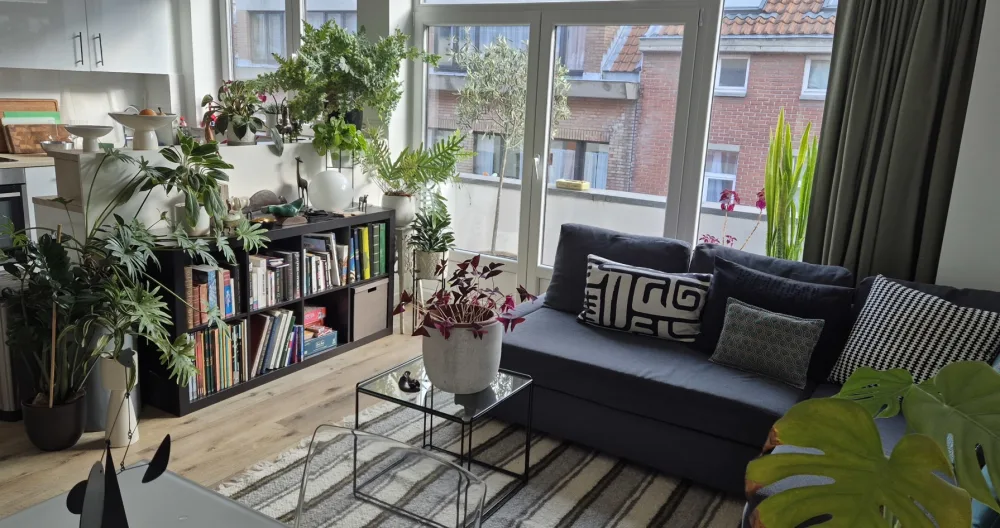 Thierrys Inserat auf misterb&b - Living room - welcome to my little jungle