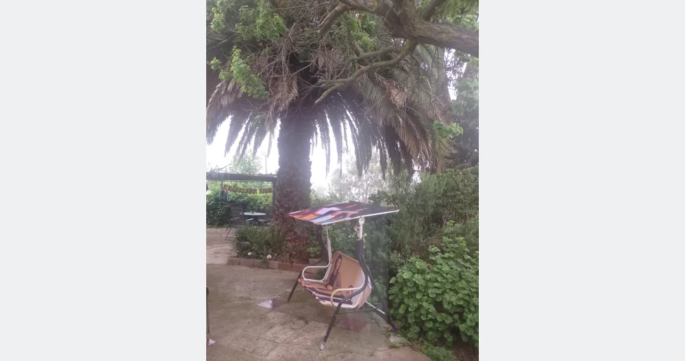 Rodrigo andréss Inserat auf misterb&b - ven a disfrutar de aire porteño en terraza rodeada de vegetación especial para relajarse 