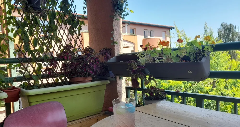 L'annuncio di Lex su misterb&b - Grand balcon orienté Sud-Est, plantes, soleil du matin, pas de vis à vis direct.