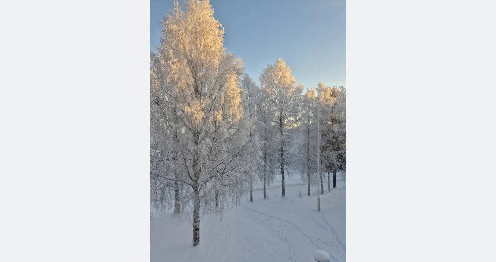 Jarno's listing on misterb&b - View from kitchen window 