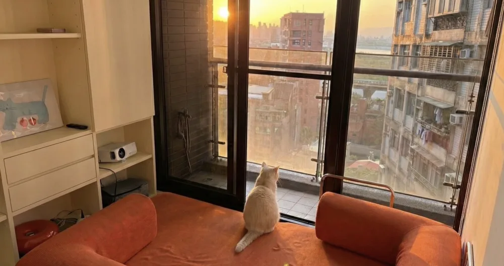 Chiu's listing on misterb&b - High-floor living space with warm sunset light and a calm atmosphere.