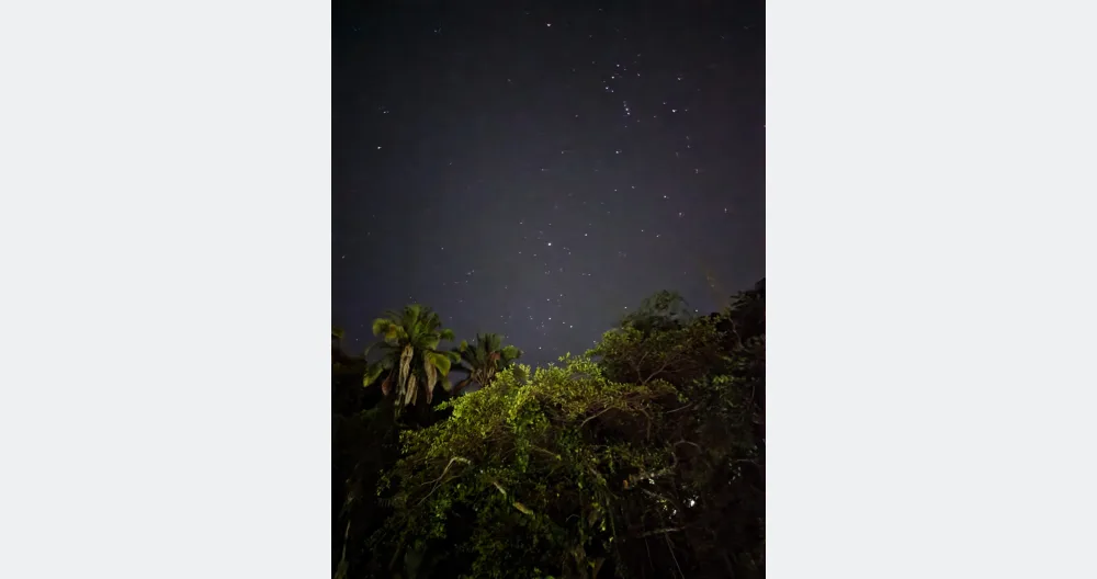 Jungle & macaws. 10 min from the beach - Picture 1