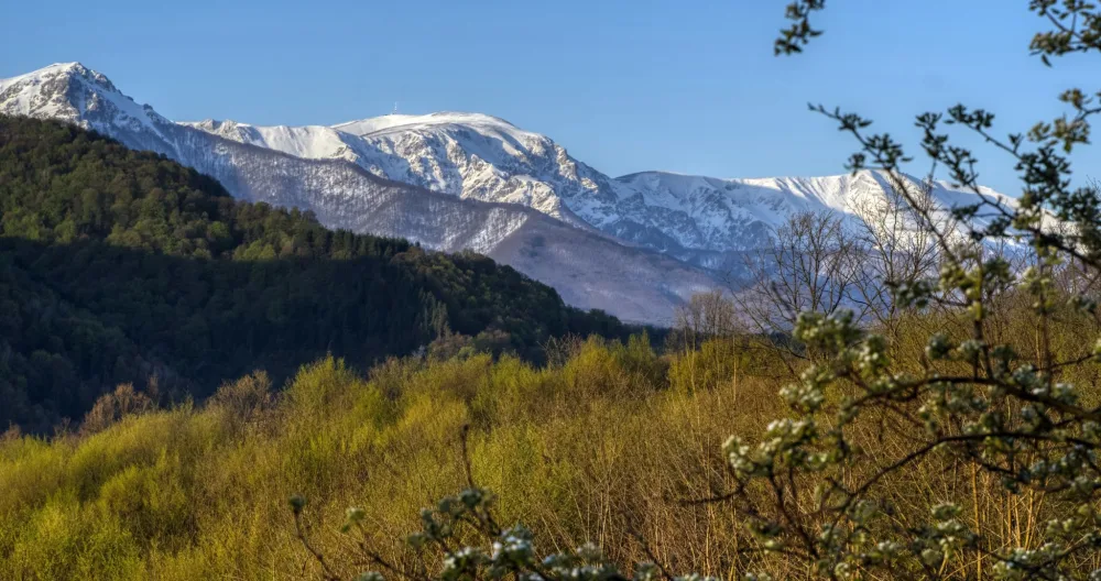 Authentisches Haus mit wunderbarem Bergblick - Foto 2