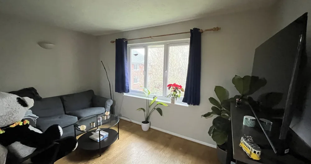 Kevin's listing on misterb&b - The cozy living room