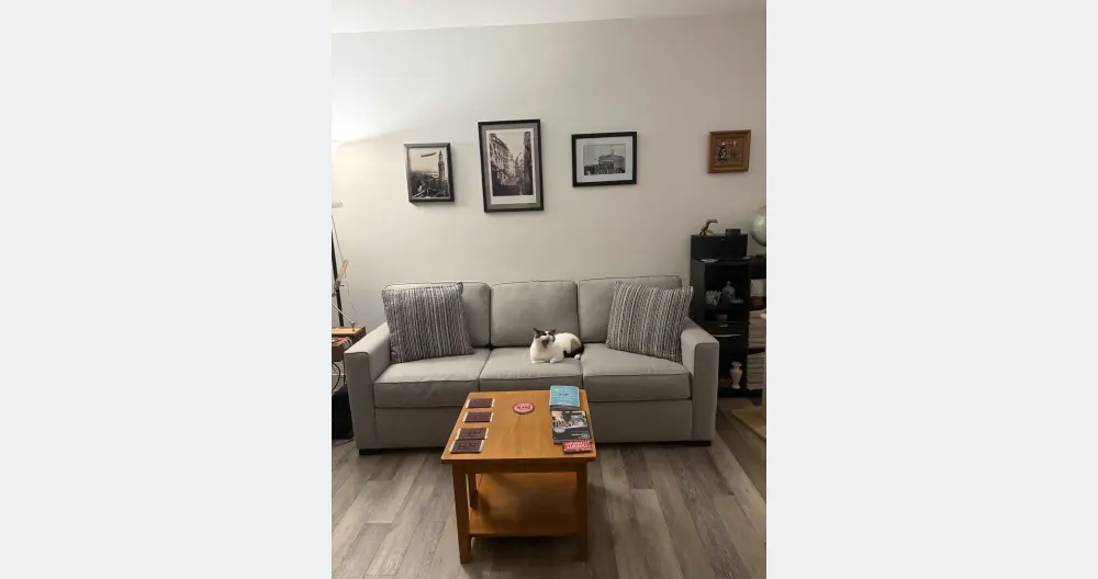 David's listing on misterb&b - New and very comfortable queen size sofa bed for guests in semi private living space that also has a wonderful comforter and other bedding