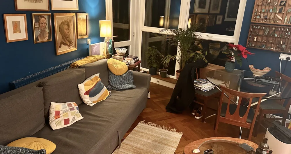 Ollie's listing on misterb&b - Cosy living room (all very 20th century designery) 