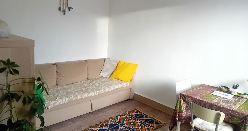 Nicolass Inserat auf misterb&b - Your room. The sofa opens and makes a 2-person bed