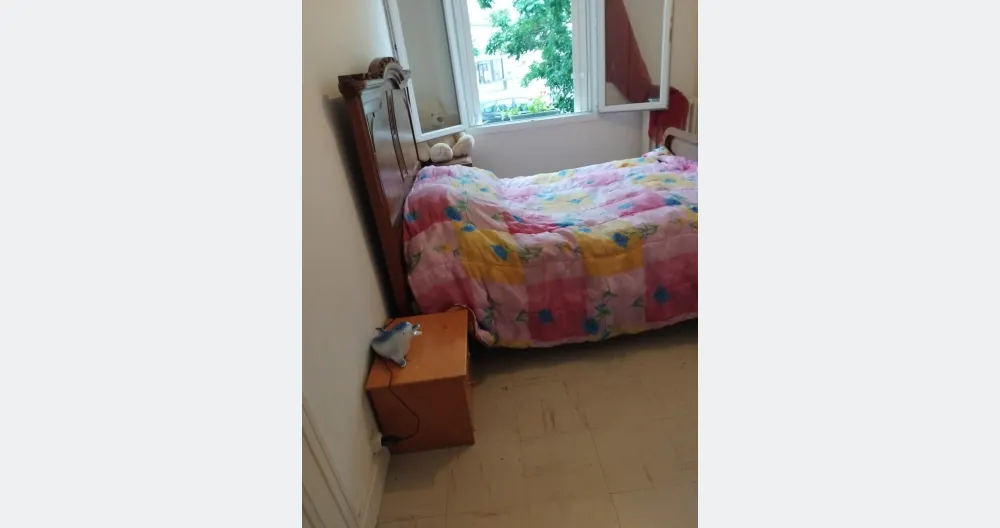 grand logement poitiers - copy 01 - Picture 2