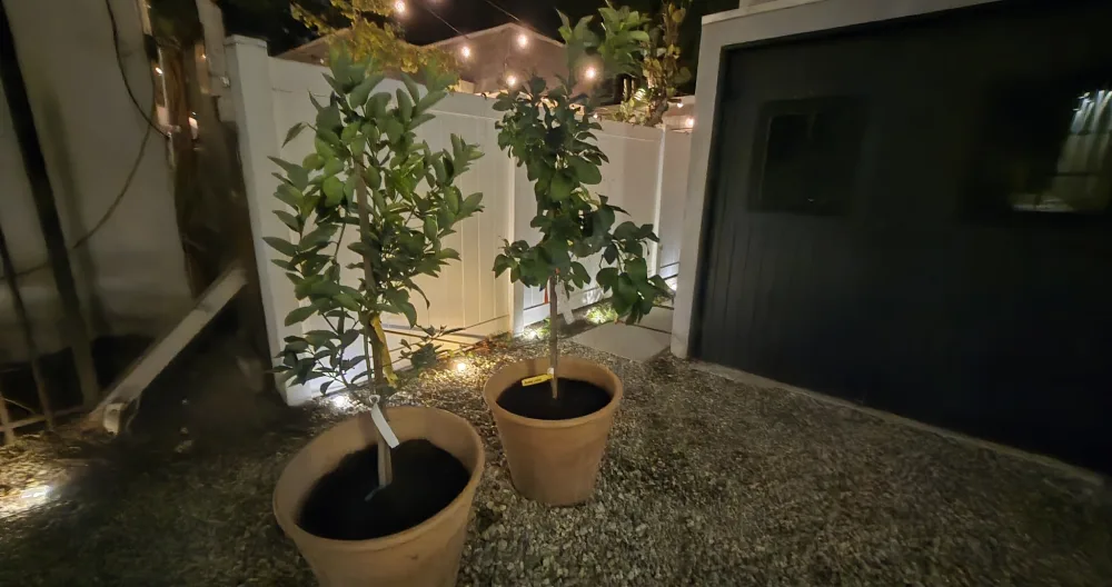 Reggie's listing on misterb&b - Entrance to garden studio - washer/dryer in laundry room 