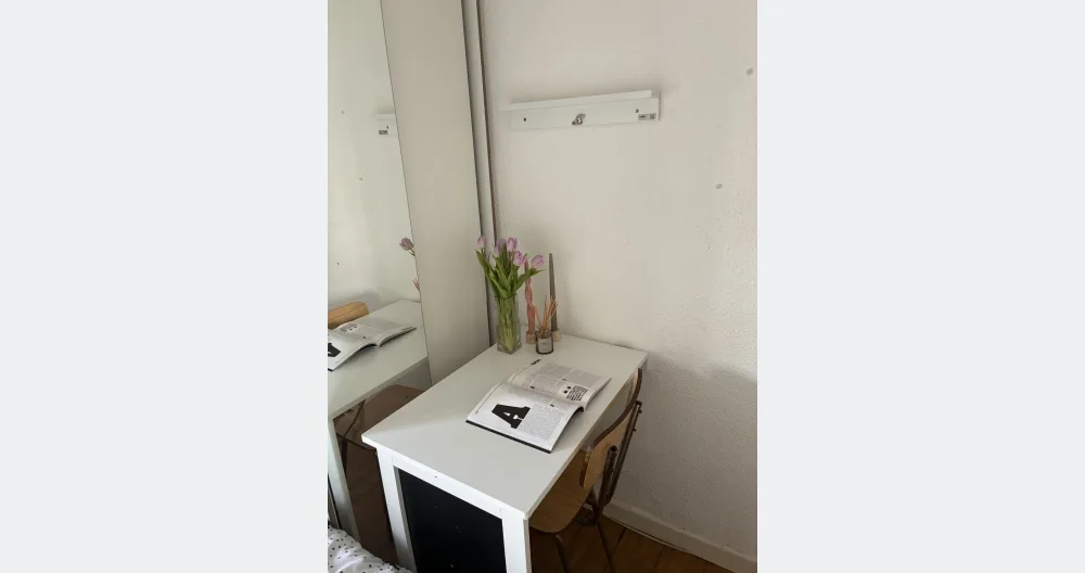Room in Lavapiés with a terrace  - Picture 2