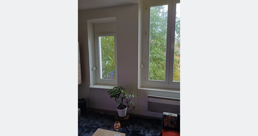 Chambre à disposition dans quartier vivant toute en étant tranquille  - Photo 2