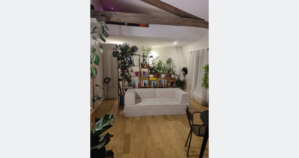 Clément's listing on misterb&b - Living room with your sleeping area behind the bookcase. During the living room, I'll be sleeping on the mezzanine above the sofa, which I can access via a ladder.